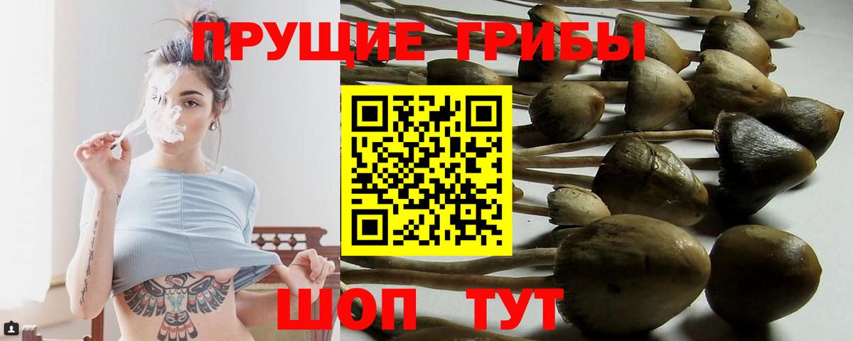 Псилоцибиновые грибы Magic Shrooms Реутов